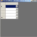 DataGridView_Form_onLoad_edited.jpg