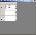 DataGridView_Form_whenEdited_edited.jpg