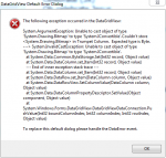 datagridview error.PNG